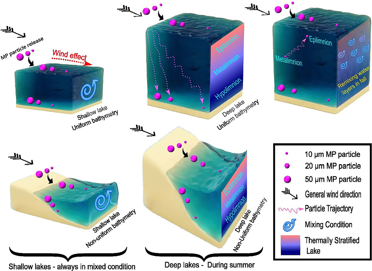 Fate of microplastic particles in standing waters and lakes Fate of microplastic particles in standing waters and lakes