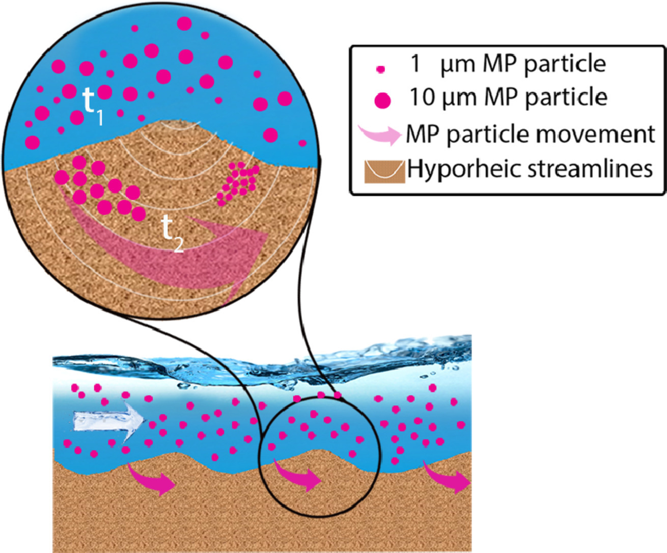 Fate of microplastic particles in fluvial systems and hyporheic zone Fate of microplastic particles in fluvial systems and hyporheic zone