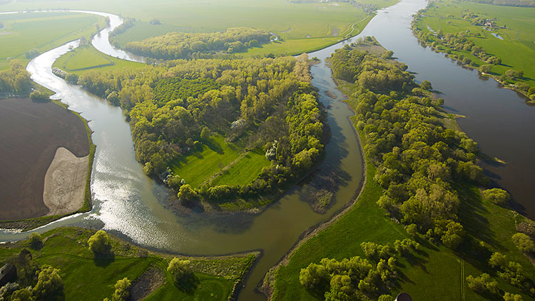 Flussmündung Elbe Saale, Foto: André Künzelmann/UFZ Flussmündung Elbe Saale, Foto: André Künzelmann/UFZ