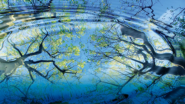 Foto: Jarma/Fotolia.com Foto: Jarma/Fotolia.com